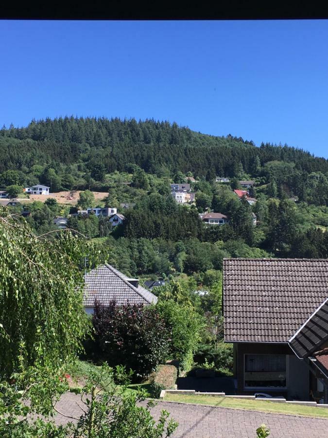 Kallenhard View Apartments Adenau Dış mekan fotoğraf
